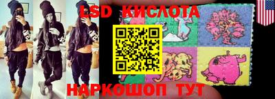 мдма Кингисепп