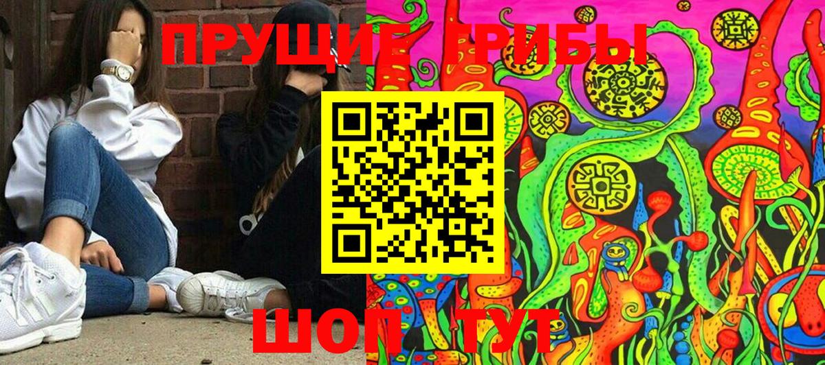 Псилоцибиновые грибы MAGIC MUSHROOMS  Вход с VPN  Аксай 
